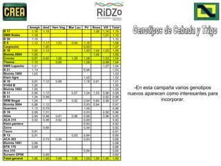 -En esta campaña varios genotipos nuevos aparecen como interesantes para incorporar.   Genotipos de Cebada y Trigo 
