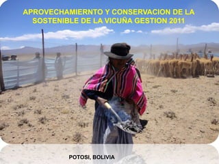APROVECHAMIERNTO Y CONSERVACION DE LA
SOSTENIBLE DE LA VICUÑA GESTION 2011
POTOSI, BOLIVIA
 