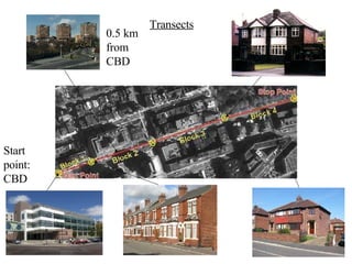 Transects 0.5 km from CBD Start point: CBD 