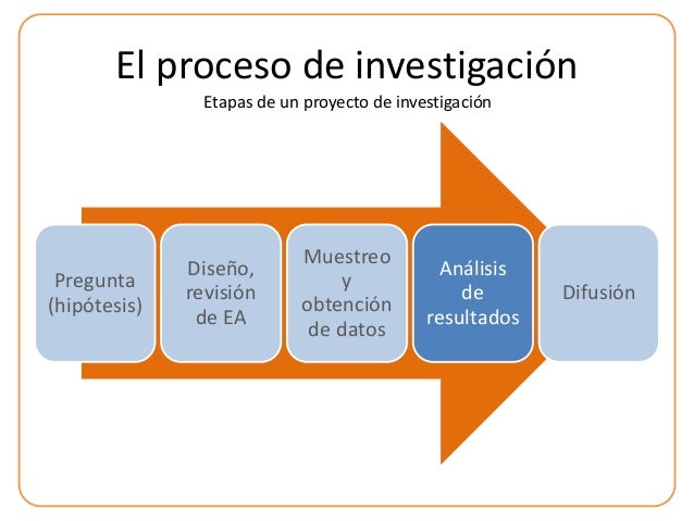 Fundamentos para análisis de resultados de una investigación