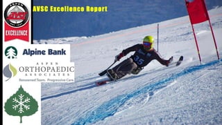 AVSC Excellence Report
 