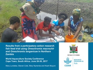 Results from a participatory action research
fish feed trial using Oreochromis macrochir
and Oreochromis tanganicae in Northern
Zambia
World Aquaculture Society Conference
Cape Town, South Africa, June 26-30, 2017
Mary Lundeba, Steven Cole, Mary Nyirenda and Noah Muyuni
 
