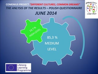 COMENIUS PROJECT "DIFFERENT CULTURES, COMMON DREAMS”
THE ANLYSIS OF THE RESULTS – POLISH QUESTIONNAIRE
JUNE 2014
 