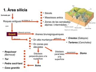 11.. ÀÀrreeaa ssiillíícciiaa 
• Sòcols 
• Massissos antics 
• Zones de las serralades 
alpines i intermèdies com 
formada per 
es troben a…? 
Roques antigues 
alteració química 
Arenes brunogroguenques 
GGrraanniitt 
diàclasis • En alta muntanya 
• En zones poc 
elevades 
gelifracció • Crestes (Galayos) 
• Tarteres (Canchales) 
Diàclasis descamació 
paral·leles 
Diàclasis Doms 
a la 
superfície 
perpendiculars a la 
superfície 
Boles 
• Roquissar 
(Berrocal) 
• Tor 
• Pedra oscil·lant 
• Caos granític 
 