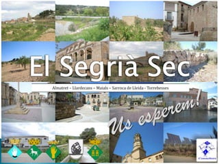 Pla Estratègic del
Segrià Sec
Almatret – Llardecans – Maials – Sarroca de Lleida - Torrebesses
Almatret – Llardecans – Mai...