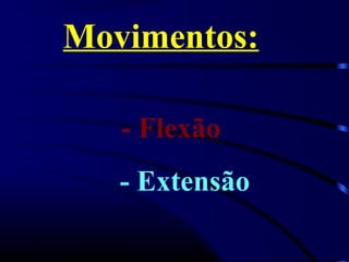 Movimentos:

   - Flexão
   - Extensão
 