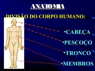 ANAT IA
           OM
DIVISÃO DO CORPO HUMANO:

                 •CABEÇA
                •PESCOÇO
                 •TRONCO
                •MEMBROS
 