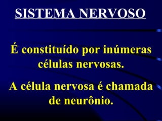 SISTEMA NERVOSO

É constituído por inúmeras
     células nervosas.
A célula nervosa é chamada
        de neurônio.
 