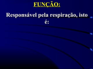 FUNÇÃO:
Responsável pela respiração, isto
              é:
 