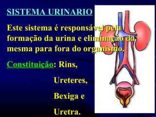 SISTEMA URINARIO
Este sistema é responsável pela
formação da urina e eliminação da
mesma para fora do organismo.
Constituição: Rins,
            Ureteres,
            Bexiga e
            Uretra.
 
