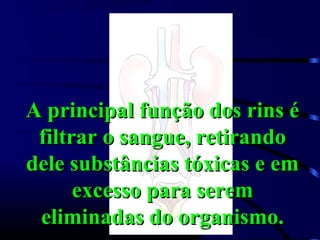 A principal função dos rins é
 filtrar o sangue, retirando
dele substâncias tóxicas e em
      excesso para serem
 eliminadas do organismo.
 