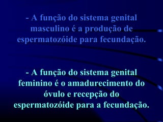 - A função do sistema genital
    masculino é a produção de
espermatozóide para fecundação.


   - A função do sistema genital
 feminino é o amadurecimento do
        óvulo e recepção do
espermatozóide para a fecundação.
 