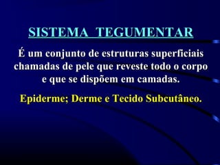 SISTEMA TEGUMENTAR
 É um conjunto de estruturas superficiais
chamadas de pele que reveste todo o corpo
     e que se dispõem em camadas.
 Epiderme; Derme e Tecido Subcutâneo.
 