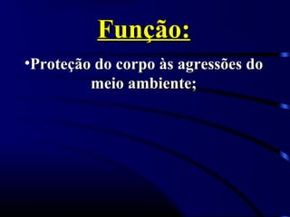 Função:
•Proteção do corpo às agressões do
         meio ambiente;
 