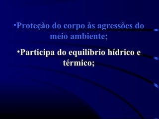 •Proteção do corpo às agressões do
         meio ambiente;
•Participa do equilíbrio hídrico e
            térmico;
 