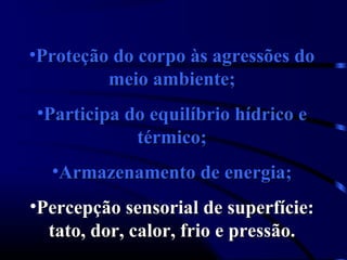 •Proteção do corpo às agressões do
         meio ambiente;
•Participa do equilíbrio hídrico e
            térmico;
  •Armazenamento de energia;
•Percepção sensorial de superfície:
  tato, dor, calor, frio e pressão.
 