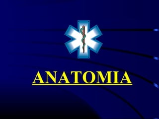 ANATOMIA
 