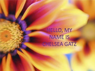 Hello, My name is Chelsea Gatz 
