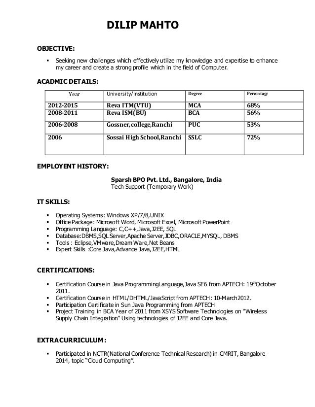 j2ee project manager resume
