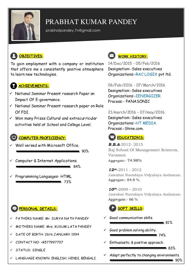 visual resume visual cv professional cv what is a visual resume
