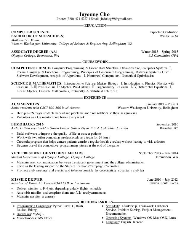 resume for computer programmer