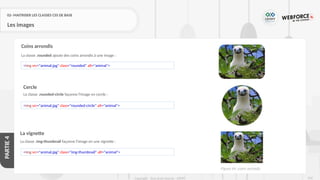 242
Copyright - Tout droit réservé - OFPPT
PARTIE
4
02- MAITRISER LES CLASSES CSS DE BASE
Les images
La classe .rounded ajoute des coins arrondis à une image :
Coins arrondis
<img src="animal.jpg" class="rounded" alt="animaI">
Cercle
La classe .rounded-circle façonne l'image en cercle :
<img src="animal.jpg" class="rounded-circle" alt="animaI">
La vignette
La classe .img-thumbnail façonne l'image en une vignette :
<img src="animal.jpg" class="img-thumbnail" alt="animaI">
Figure 64 :coins arrondis
 