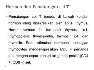 Hormon dan Pematangan sel T 
 Pematangan sel T berada di bawah kendali 
hormon yang disekresikan oleh epitel thymus. 
Hormon-hormon ini termasuk thymosin α1, 
thymopoietin, thymopentin, thymosin β4, dan 
thymulin. Pada stimulasi hormonal, sebagian 
thymocytes mengekspresikan CD8 + penanda 
tapi dengan cepat transisi ke ganda positif (CD4 
+, CD8 +) sel. 
 