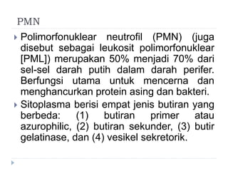 PMN 
 Polimorfonuklear neutrofil (PMN) (juga 
disebut sebagai leukosit polimorfonuklear 
[PML]) merupakan 50% menjadi 70% dari 
sel-sel darah putih dalam darah perifer. 
Berfungsi utama untuk mencerna dan 
menghancurkan protein asing dan bakteri. 
 Sitoplasma berisi empat jenis butiran yang 
berbeda: (1) butiran primer atau 
azurophilic, (2) butiran sekunder, (3) butir 
gelatinase, dan (4) vesikel sekretorik. 
 