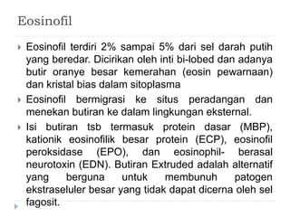 Eosinofil 
 Eosinofil terdiri 2% sampai 5% dari sel darah putih 
yang beredar. Dicirikan oleh inti bi-lobed dan adanya 
butir oranye besar kemerahan (eosin pewarnaan) 
dan kristal bias dalam sitoplasma 
 Eosinofil bermigrasi ke situs peradangan dan 
menekan butiran ke dalam lingkungan eksternal. 
 Isi butiran tsb termasuk protein dasar (MBP), 
kationik eosinofilik besar protein (ECP), eosinofil 
peroksidase (EPO), dan eosinophil- berasal 
neurotoxin (EDN). Butiran Extruded adalah alternatif 
yang berguna untuk membunuh patogen 
ekstraseluler besar yang tidak dapat dicerna oleh sel 
fagosit. 
 