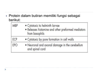  Protein dalam butiran memiliki fungsi sebagai 
berikut: 
 