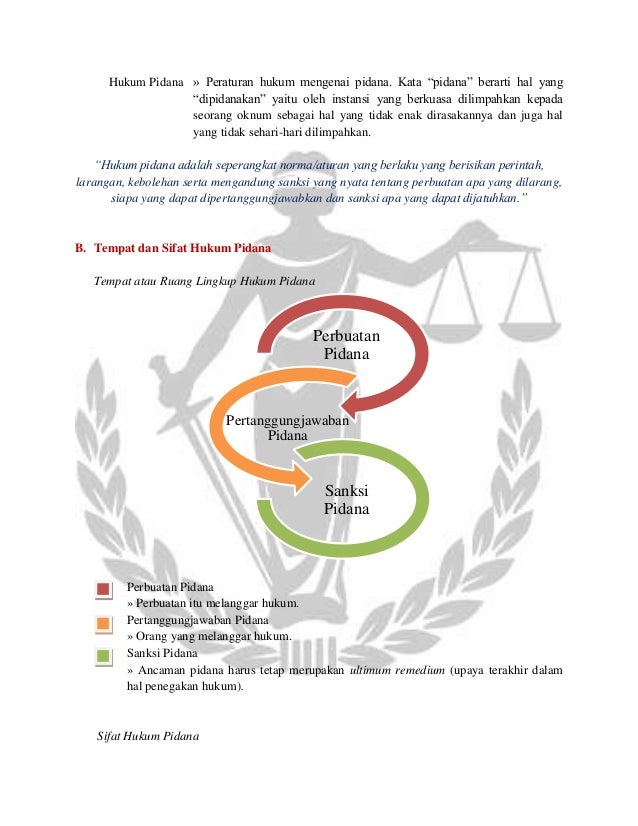 Resume Materi Hukum Pidana