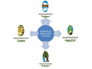 Chimborazo

                  Tungurahua
                    Bolívar,
              RESERVAS DE             Autopista
Sucumbíos y
  Orellana    PRODUCCIÓN             Guayaquil -
                                       Salinas
               DE FAUNA



                   Salinas – Santa
                        Elena
 