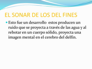 EL SONAR DE LOS DEL FINES
 Esto fue un desarrollo estos producen un
ruido que se proyecta a través de las agua y al
rebot...