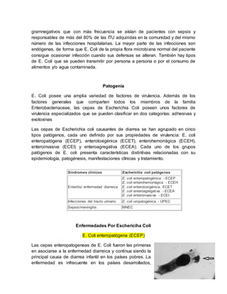 gramnegativos que con más frecuencia se aíslan de pacientes con sepsis y
responsables de más del 80% de las ITU adquiridas en la comunidad y del mismo
número de las infecciones hospitalarias. La mayor parte de las infecciones son
endógenas, de forma que E. Coli de la propia flora microbiana normal del paciente
consigue ocasionar infección cuando sus defensas se alteran. También hay tipos
de E. Coli que se pueden transmitir por persona a persona o por el consumo de
alimentos y/o agua contaminada.
Patogenia
E. Coli posee una amplia variedad de factores de virulencia. Además de los
factores generales que comparten todos los miembros de la familia
Enterobacteriaceae, las cepas de Escherichia Coli poseen unos factores de
virulencia especializados que se pueden clasificar en dos categorías: adhesivas y
exotoxinas
Las cepas de Escherichia coli causantes de diarrea se han agrupado en cinco
tipos patógenos, cada uno definido por sus propiedades de virulencia: E. coli
enteropatógena (ECEP), enterotoxigénica (ECET), enterohemorrágica (ECEH),
enteroinvasiva (ECEI) y enteroagregativa (ECEA). Cada uno de los grupos
patógenos de E. coli presenta características distintivas relacionadas con su
epidemiología, patogénesis, manifestaciones clínicas y tratamiento.
Enfermedades Por Eschericiha Coli
E. Coli enteropatógena (ECEP)
Las cepas enteropatogeneas de E. Coli fueron las primeras
en asociarse a la enfermedad diarreica y continua siendo la
principal causa de diarrea infantil en los países pobres. La
enfermedad es infrecuente en los países desarrollados,
Síndromes clínicos Escherichia coli patógenas
Enteritis/ enfermedad diarreica
E. coli enteropatogénica - ECEP
E. coli enterohemorrágica - ECEH
E. coli enterotoxigénica, ECET
E. coli enteroagregativa - ECEA
E. coli enteroinvasiva - ECEI
Infecciones del tracto urinario E. coli uropatogénica - UPEC
Sepsis/meningitis MNEC
 