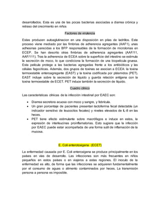 desarrollados. Esta es una de las pocas bacterias asociadas a diarrea crónica y
retraso del crecimiento en niños
Factores de virulencia
Estas producen autoaglutinacion en una disposición en pilas de ladrillos. Este
proceso viene mediado por las fimbrias de adherencia agregantes (AAF1), unas
adhesinas parecidas a los BFP responsables de la formación de microlonias en
ECEP. Se han descrito otras fimbrias de adherencia agregantes (AAF/11,
AAF/111). Tras la adherencia de ECEA sobre la superficie del intestino se estimula
la secreción de moco, lo que condiciona la formación de una biopelicula gruesa.
Esta película protege a las bacterias agregadas frente a los antibióticos y las
células fagociticas. Además, dos grupos de toxinas se asocian a ECEA: la toxina
termoestable enteroagregante (EAST) y la toxina codificada por plásmidos (PET).
EAST incluye sobre la secreción de líquido y guarda relación antígena con la
toxina termoestable de ECET. PET induce también la secreción de líquido.
Cuadro clínico
Las características clínicas de la infección intestinal por EAEC son:
 Diarrea secretora acuosa con moco y sangre, y febrícula.
 Un gran porcentaje de pacientes presentan lactoferrina fecal detectable (un
indicador sensitivo de leucocitos fecales) y niveles elevados de IL-8 en las
heces.
 PET tiene efecto estimulante sobre macrófagos e induce en estos, la
expresión de interleucinas proinflamatorias. Esto sugiere que la infección
por EAEC puede estar acompañada de una forma sutil de inflamación de la
mucosa.
E. Coli enterotoxigena (ECET)
La enfermedad causada por E. Coli enteroxigena se produce principalmente en los
países en vías de desarrollo. Las infecciones son más frecuentes en niños
pequeños en estos países o en viajeros a estas regiones. El inoculo de la
enfermedad es alto, de forma que las infecciones se adquieren fundamentalmente
por el consumo de aguas o alimento contaminados por heces. La transmisión
persona a persona es imposible.
 