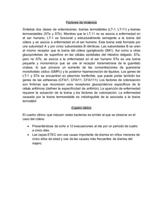 Factores de virulencia
Sintetiza dos clases de enterotoxinas: toxinas termolábiles (LT-1, LT-11) y toxinas
termoestables (STa y STb). Mientras que la LT.11 no se asocia a enfermedad en
el ser humano, LT-1 es funcional y estructuralmente semejante a la toxina del
cólera y se asocia a enfermedad en el ser humano. Esta toxina está formada por
una subunidad A y por cinco subunidades B idénticas. Las subunidades B se unen
al mismo receptor que la toxina del cólera (gangliosido GM1). Así como a otras
glucoproteínas de superficie en las células epiteliales del intestino delgado. STa,
pero no STb, se asocia a la enfermedad en el ser humano STa es una toxina
pequeña y monomerica que se une al receptor transmebrana de la guanilato
ciclasa, lo que provoca un aumento de las concentraciones de guanosina
monofosfato cíclico (GMPc) y la posterior hipersecreción de líquidos. Los genes de
LT-1 y STa se encuentran en plasmido tranferible, que puede portar también los
genes de las adhesinas (CFA/1, CFA/11, CFA/111). Los factores de colonización
son fimbrias que reconocen unos receptores glucoproteicos específicos de la
célula anfitriona (definen la especificidad de anfitrión). La aparición de enfermedad
requiere la actuación de la toxina y los factores de colonización. La enfermedad
causada por la toxina termoestable es indistinguible de la asociada a la toxina
termolábil
Cuadro clínico
El cuadro clínico que inducen estas bacterias es similar al que se observa en el
caso del cólera:
 Presentándose de ocho a 12 evacuaciones al día por un periodo de cuatro
a cinco días.
 Las cepas ETEC son una causa importante de diarrea en niños menores de
cinco años de edad y una de las causas más frecuentes de diarrea del
viajero.
 