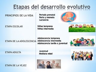 PRINCIPIOS DE LA VIDA
ETAPA ESCOLAR
ETAPA DE LA ADOLESCENCIA
ETAPA ADULTA
ETAPA DE LA VEJEZ
Periodo prenatal
Parto y neonato
Lactancia
Niñez temprana
Niñez intermedia
Adolescencia temprana
Adolescencia intermedia
Adolescencia tardía o juventud
Juventud
Mediana edad
 