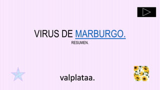 valplataa.
VIRUS DE MARBURGO.
RESUMEN.
 