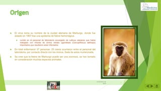  El virus toma su nombre de la ciudad alemana de Marburgo, donde fue
aislado en 1967 tras una epidemia de fiebre hemorrágica.
 cundió en el personal de laboratorio encargado de cultivos celulares que había
trabajado con riñones de simios verdes ugandeses (Cercopithecus aethiops)
importados que resultaron estar infectados.
 En total enfermaron 37 personas. 25 casos ocurrieron entre el personal del
laboratorio, por contacto directo con los monos. Siete de estos murieronada.
 Se cree que la fiebre de Marburgo puede ser una zoonosis, se han tomado
en consideración muchas especies animales.
3
noviembre de
2019
 