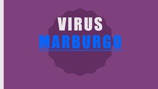 VIRUS
MARBURGO
 