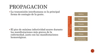  La transmisión interhumana es la principal
forma de contagio de la gente.
 El pico de máxima infectividad ocurre durante
las manifestaciones más graves de la
enfermedad, junto con las manifestaciones
hemorrágicas.
7
Setransmiteatravésde
fluidos
Saliva
Sangre
Vómito
Heces
Orina
Secreciones
respiratorias
 