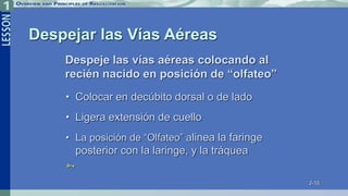 2-13
Despejar las Vías Aéreas
• Colocar en decúbito dorsal o de lado
• Ligera extensión de cuello
• La posición de “Olfateo” alinea la faringe
posterior con la laringe, y la tráquea

Despeje las vías aéreas colocando al
recién nacido en posición de “olfateo”
 