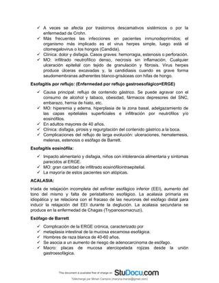  A veces se afecta por trastornos descamativos sistémicos o por la
enfermedad de Crohn.
 Más frecuentes las infecciones en pacientes inmunodeprimidos; el
organismo más implicado es el virus herpes simple, luego está el
citomegalovirus o los hongos (Candida).
 Clínica: dolor y disfagia. Casos graves: hemorragia, estenosis o perforación.
 MO: infiltrado neutrofílico denso, necrosis sin inflamación. Cualquier
ulceración epitelial con tejido de granulación y fibrosis. Virus herpes
produce úlceras excavadas y, la candidiasis cuando es grave forma
seudomembranas adherentes blanco-grisáceas con hifas de hongo.
Esofagitis por reflujo: (Enfermedad por reflujo gastroesofágico=ERGE)
 Causa principal: reflujo de contenido gástrico. Se puede agravar con el
consumo de alcohol y tabaco, obesidad, fármacos depresores del SNC,
embarazo, hernia de hiato, etc.
 MO: hiperemia y edema, hiperplasia de la zona basal, adelgazamiento de
las capas epiteliales superficiales e infiltración por neutrófilos y/o
eosinófilos.
 En adultos mayores de 40 años.
 Clínica: disfagia, pirosis y regurgitación del contenido gástrico a la boca.
 Complicaciones del reflujo de larga evolución: ulceraciones, hematemesis,
melenas, estenosis o esófago de Barrett.
Esofagitis eosinófila:
 Impacto alimentario y disfagia, niños con intolerancia alimentaria y síntomas
parecidos al ERGE.
 MO: gran cantidad de infiltrado eosinófilointraepitelial.
 La mayoría de estos pacientes son atópicas.
ACALASIA:
tríada de relajación incompleta del esfínter esofágico inferior (EEI), aumento del
tono del mismo y falta de peristaltismo esofágico. La acalasia primaria es
idiopática y se relaciona con el fracaso de las neuronas del esófago distal para
inducir la relajación del EEI durante la deglución. La acalasia secundaria se
produce en la enfermedad de Chagas (Trypanosomacruzi).
Esófago de Barrett
 Complicación de la ERGE crónica, caracterizado por
 metaplasia intestinal de la mucosa escamosa esofágica.
 Hombres de raza blanca de 40-60 años.
 Se asocia a un aumento de riesgo de adenocarcinoma de esófago.
 Macro: placas de mucosa aterciopelada rojizas desde la unión
gastroesofágica.
Téléchargé par Mirian Campos (maryna.marxs@gmail.com)
lOMoARcPSD|1206238
 