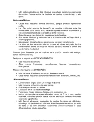  MO: epitelio cilíndrico de tipo intestinal con células caliciformes secretoras
de mucina. Cuando existe, la displasia se clasifica como de bajo o alto
grado.
Várices esofágicas
 Causa más frecuente: cirrosis alcohólica, porque produce hipertensión
portal.
 La HTA portal provoca la formación de canales colaterales entre las
circulaciones porta y cava. Esto hace que aparezcan venas submucosas y
subepiteliales congestivas en el esófago distal (varices).
 Segunda causa más frecuente: esquistosomiasis hepática.
 Son venas dilatadas y tortuosas en la submucosa del esófago distal y
estómago proximal.
 No producen clínica hasta que se rompen y provocan hematemesis.
 La mitad de los pacientes fallecen durante el primer sangrado. En los
sobrevivientes existe un riesgo de recaída del 50% durante el primer año
con la misma mortalidad.
Tumores (más frecuente que se localicen en la porción superior del esófago,
donde hay músculo liso)
Benignos: la mayoría son MESENQUIMÁTICOS
 Más frecuente: Leiomioma
 Otros menos frecuentes: neurofibromas, lipomas, hemangiomas,
linfangiomas.
Malignos: la mayoría son EPITELIALES
 Más frecuente: Carcinoma escamoso, Adenocarcinoma.
 Otros menos frecuentes: carcinoma indiferenciado, melanoma, linfoma, etc.
Adenocarcinoma
 La mayoría se origina sobre un esófago de Barrett.
 Más frecuente en hombres de raza blanca.
 Puede llegar a invadir el cardias.
 Localizado en el 1/3 distal del esófago.
 Factores de riesgo: obesidad, tabaquismo, exposición, etc.
 Macro: parches planos o poco elevados, masas de 5 cm o más, pueden
ulcerarse. Lesiones que van desde nódulos exofíticos a masas infiltrantes
excavadas y profundas.
 MO: Barrett adyacente, producción de mucina, formación de glándulas,
morfología de tipo intestinal, infiltrante. Poco frecuente las células en anillo
de sello y es raro encontrar carcinomas adenoescamosos o poco
diferenciado de células pequeñas.
Téléchargé par Mirian Campos (maryna.marxs@gmail.com)
lOMoARcPSD|1206238
 