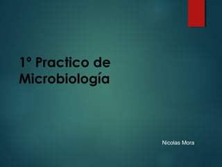 1º Practico de
Microbiología
Nicolas Mora
 