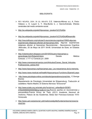 Resumen hipocampo