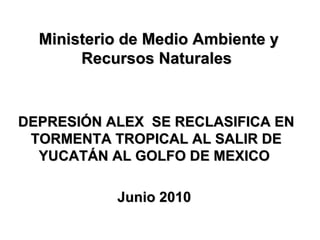 Ministerio de Medio Ambiente y Recursos Naturales  DEPRESIÓN ALEX  SE RECLASIFICA EN TORMENTA TROPICAL AL SALIR DE YUCATÁN AL GOLFO DE MEXICO  Junio 2010  