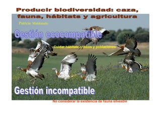 Patricia Maldonado




                     Cuidar hábitats críticos y poblaciones




                     No considerar la existencia de fauna silvestre