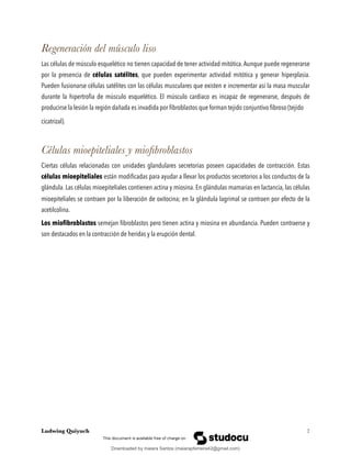 Regeneración del músculo liso
Las células de músculo esquelético no tienen capacidad de tener actividad mitótica. Aunque puede regenerarse
por la presencia de células satélites, que pueden experimentar actividad mitótica y generar hiperplasia.
Pueden fusionarse células satélites con las células musculares que existen e incrementar así la masa muscular
durante la hipertroﬁa de músculo esquelético. El músculo cardiaco es incapaz de regenerarse, después de
producirse la lesión la región dañada es invadida por ﬁbroblastos que forman tejido conjuntivo ﬁbroso (tejido
cicatrizal).
Células mioepiteliales y mioﬁbroblastos
Ciertas células relacionadas con unidades glandulares secretorias poseen capacidades de contracción. Estas
células mioepiteliales están modiﬁcadas para ayudar a llevar los productos secretorios a los conductos de la
glándula. Las células mioepiteliales contienen actina y miosina. En glándulas mamarias en lactancia, las células
mioepiteliales se contraen por la liberación de oxitocina; en la glándula lagrimal se contraen por efecto de la
acetilcolina.
Los mioﬁbroblastos semejan ﬁbroblastos pero tienen actina y miosina en abundancia. Pueden contraerse y
son destacados en la contracción de heridas y la erupción dental.
Ludwing Quiyuch !7
Downloaded by maiara Santos (maiarapferreira42@gmail.com)
lOMoARcPSD|13623298
 