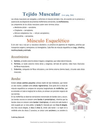 lOMoAR cPSD|13623298
Downloaded by maiara Santos (maiarapferreira42@gmail.com)
Tejido Muscular (ver pág. 366)
Las células musculares son alargadas y conforman el músculo estriado o liso, de acuerdo con la presencia o
ausencia de una disposición de proteínas mioﬁbrilares contráctiles, los mioﬁlamentos.
Los componentes de las células musculares suelen tener términos únicos:
Membrana celular → sarcolema.
Citoplasma → sarcoplasma.
Retículo endoplásmico liso → retículo sarcoplásmico.
Mitocondrias → sarcosomas.
Músculo Esquelético
Es de color rosa a rojo por su vasculatura abundante y la presencia de pigmentos de mioglobina, proteínas que
transportan oxígeno y semejantes a la hemoglobina. Cada ﬁbra de músculo esquelético es larga, cilíndrica,
multinucleada y estriada.
Revestimientos
A. Epimisio, un tejido conectivo denso irregular y colagenoso, que rodea todo el músculo.
B. Perimisio, un tejido conectivo menos denso y colagenoso, derivado del epimisio, rodea haces (fascículos)
de ﬁbras musculares.
C. Endomisio, compuesto de ﬁbras reticulares y una lámina externa (lámina basal), circunda cada célula
muscular.
Bandas
Existen células satélites pequeñas (células madre de tipo mioblasto), que tienen
un solo núcleo y actúan como células regenerativas. Gran parte de la célula de
músculo esquelético se compone de conjuntos longitudinales de mioﬁbrillas, que
se extienden en toda la longitud de la célula y se alinean con precisión respecto de
sus vecinas.
En las mioﬁbrillas se observan estriaciones transversales de bandeo claro y oscuro.
Las bandas oscuras se conocen como bandas A (anisotrópicas), mientras que las
bandas claras se conocen como bandas I (isotrópicas), el centro de cada banda A
está ocupado por un área pálida, la banda H, bisecada por una línea M delgada.
Una línea oscura delgada, el disco Z (línea Z), divide cada banda I. La región de la
mioﬁbrilla entre dos discos Z sucesivos, se conoce como sarcómera y se considera la
Ludwing Quiyuch 2
 